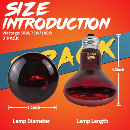 Infrared basking spot lamp emitting soft red light for nocturnal viewing
