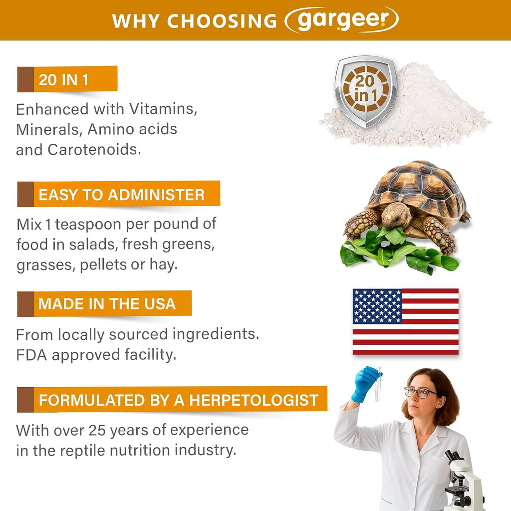 Close up of Gargeer tortoise mineral powder texture