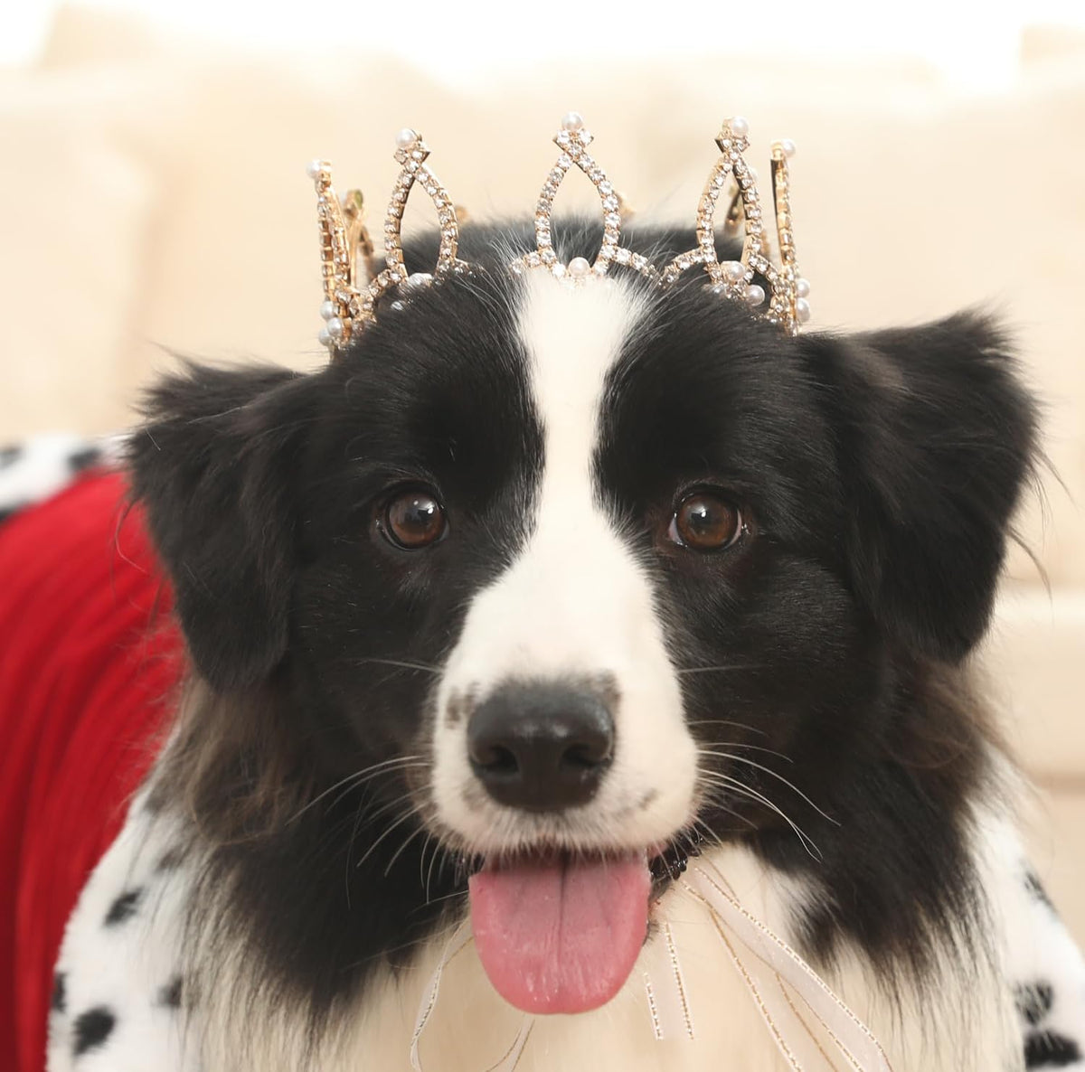 Lovelyshop Pet Series Silver Plated Royal Rhinestone Pearl Full Round Dog/Cat Crown for Rolyal Family Costume Hair Accessories-XSmall Size - Image 10