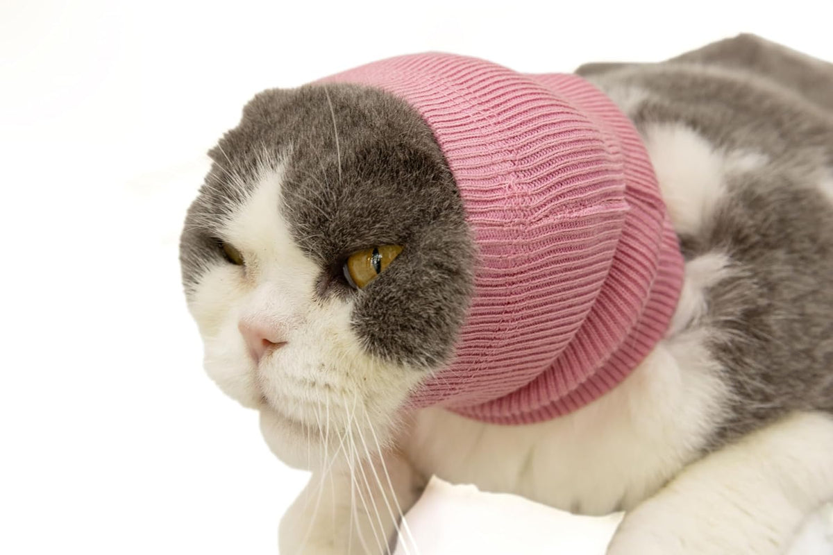 High elasticity pet ear wrap shown in packaging