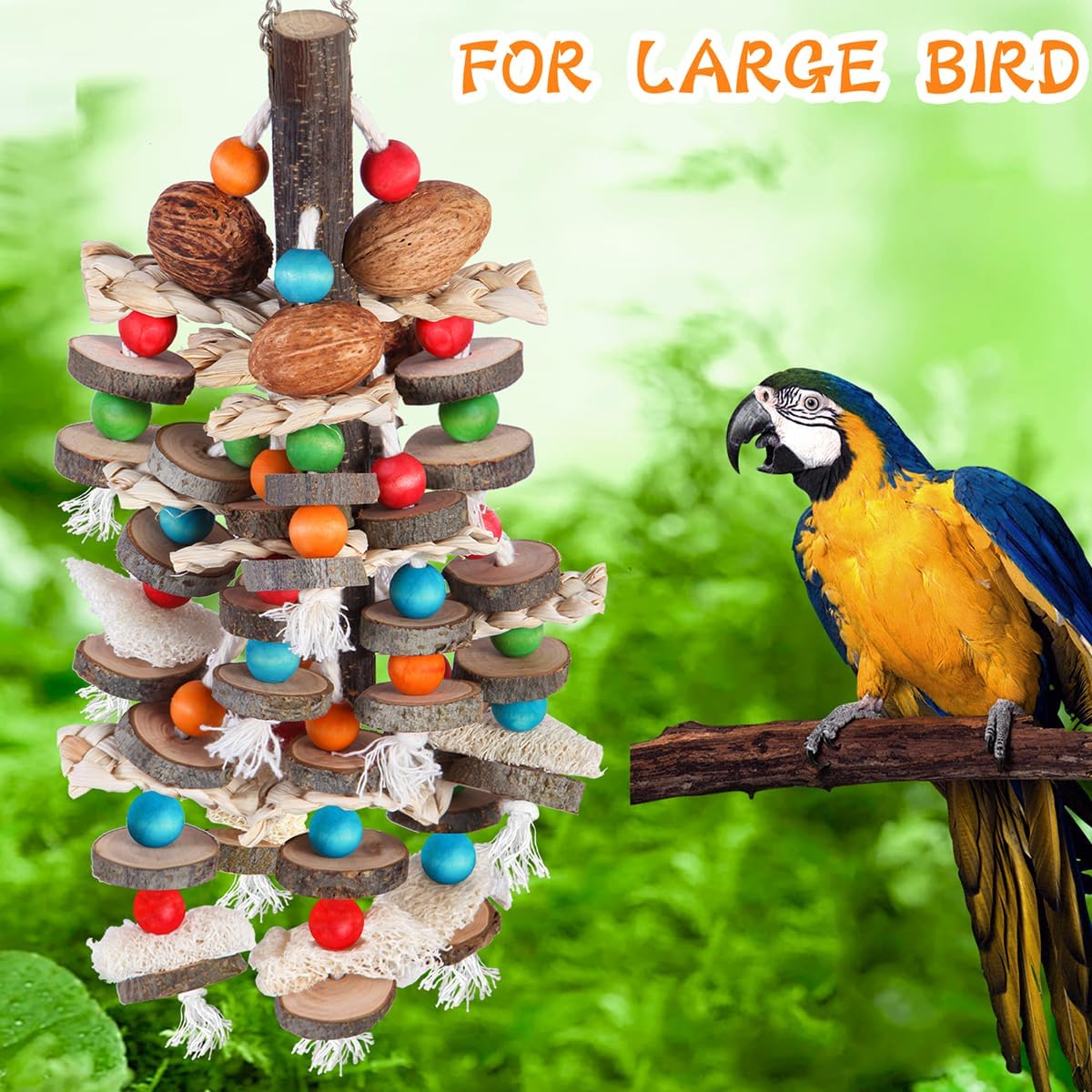 Close up of BBjinronjy parrot toy showing apple wood and nuts