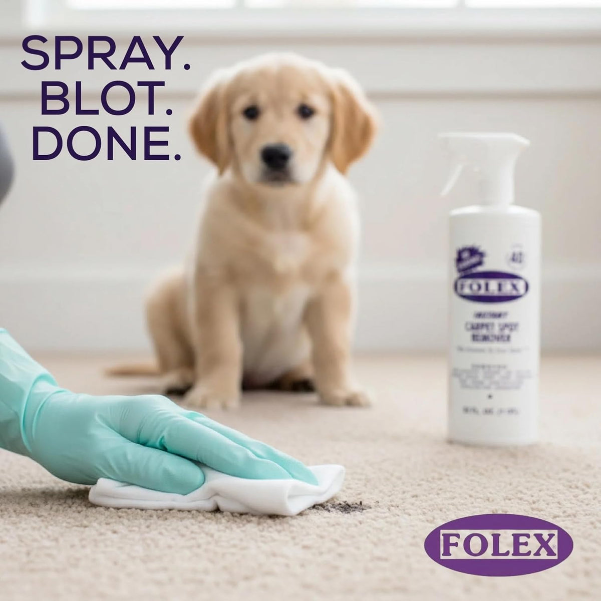 Authentic Folex USA imported carpet spot remover