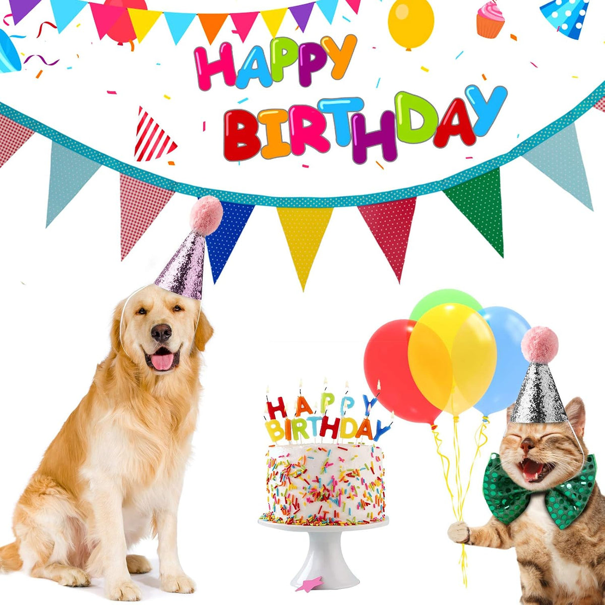 Three piece dog birthday cone hat collection for pet party supplies