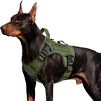 WINGOIN tactical dog harness front view showing heavy duty chest D-ring