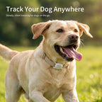Soft pink flexible silicone tracker holder for medium dogs and cats.