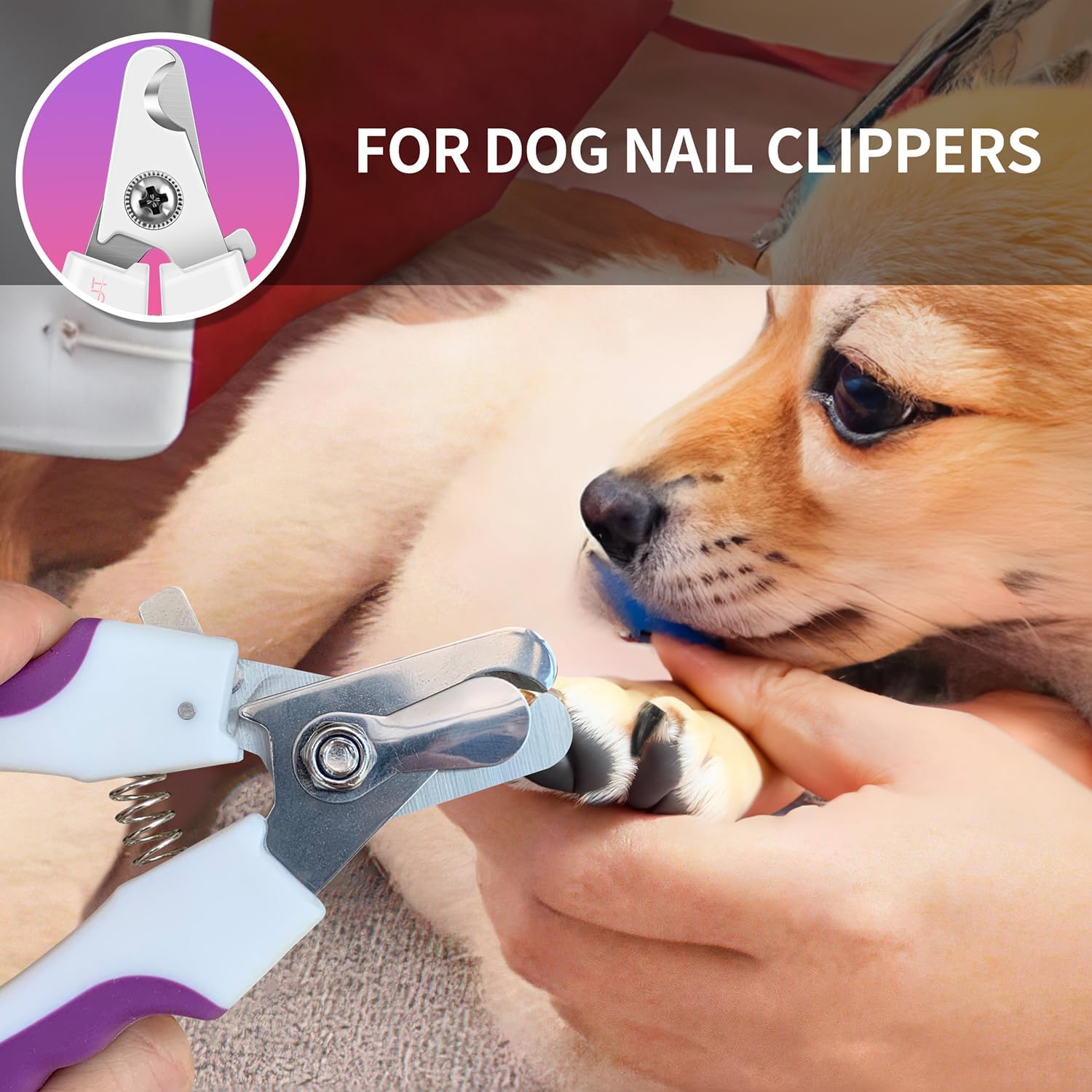 Included stainless steel nail file for pet grooming