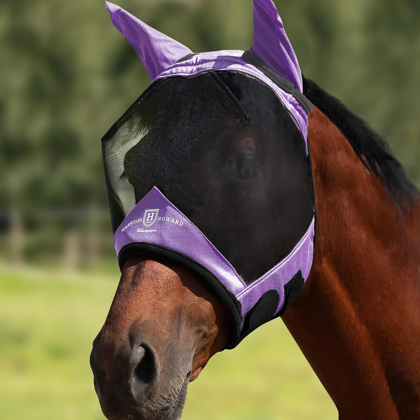 Harrison Howard Horse Fly Mask with Ears, Half Face Fly Mask for Horses, UV Protection, Large Eye Space Teal M - Image 11