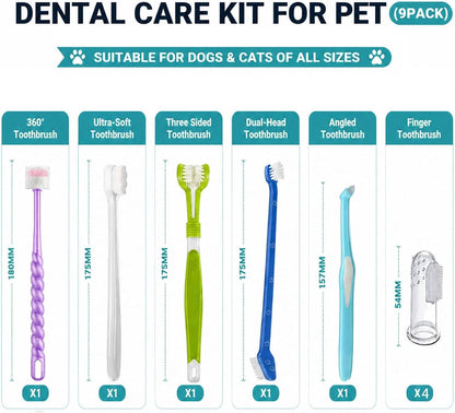 Urmyonly pet dental kit components displayed