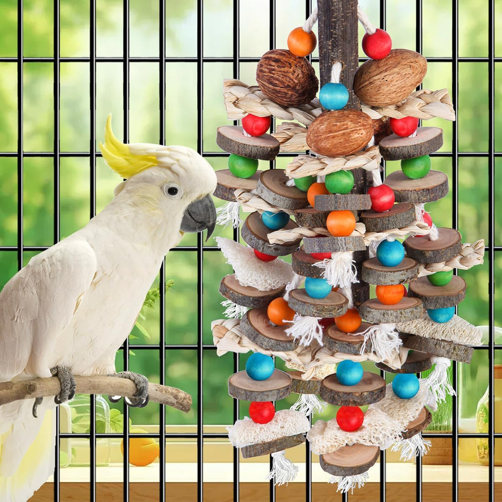 African Grey parrot playing with natural wood and loofah bird toy