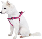 Blueberry Pet Essentials Step-in Dog Harness, Small Size | Adjustable Fired Brick Vest | Classic Solid Nylon for Boy & Girl Dogs, Chest Girth 16.5" - 21.5" - Image 11