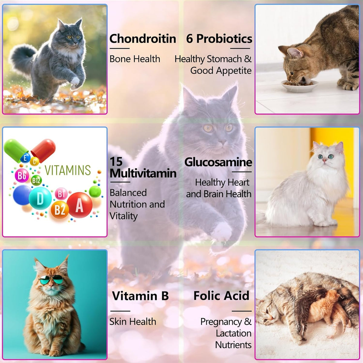 Uocasi pet health supplement bottle demonstrating the convenient liquid dropper mechanism.