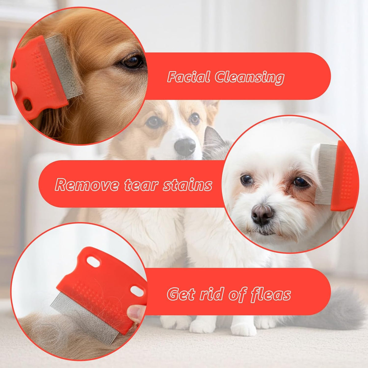 Professional pet grooming tool set for safe tear stain removal