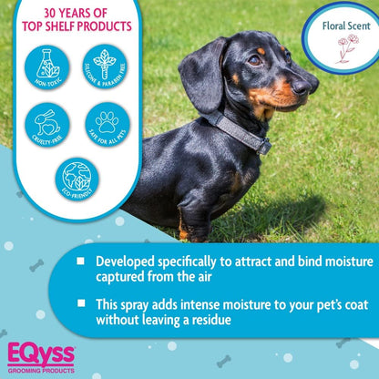 EQyss Premier grooming spray bottle highlight showing the non-greasy silicone free formula.
