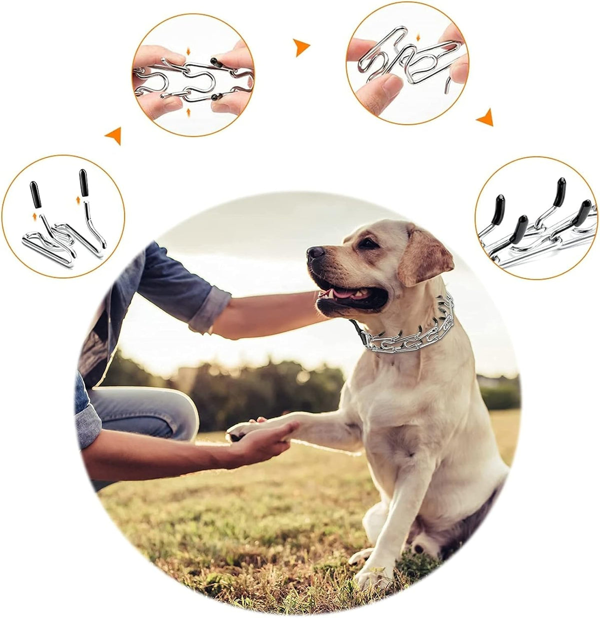 Detailed lifestyle shot of high quality imported dog collar accessories on an organized layout.