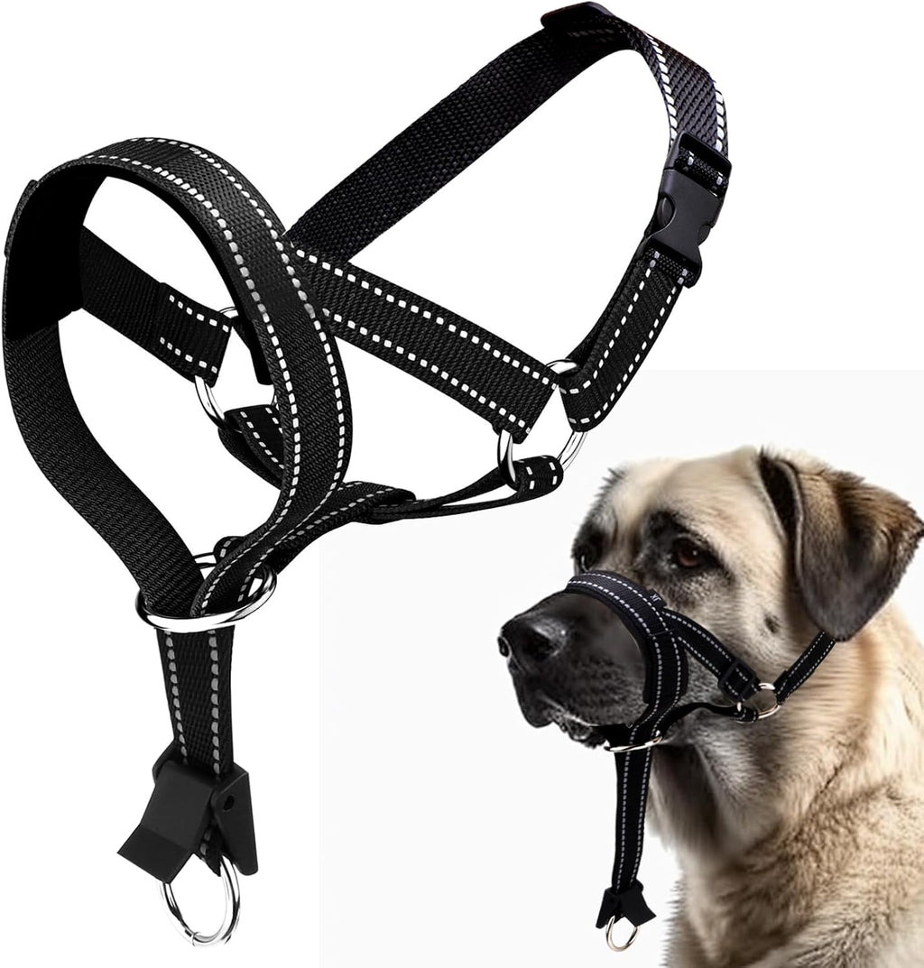 Rosvola dog headcollar front view showing the padded nose loop on a large dog.