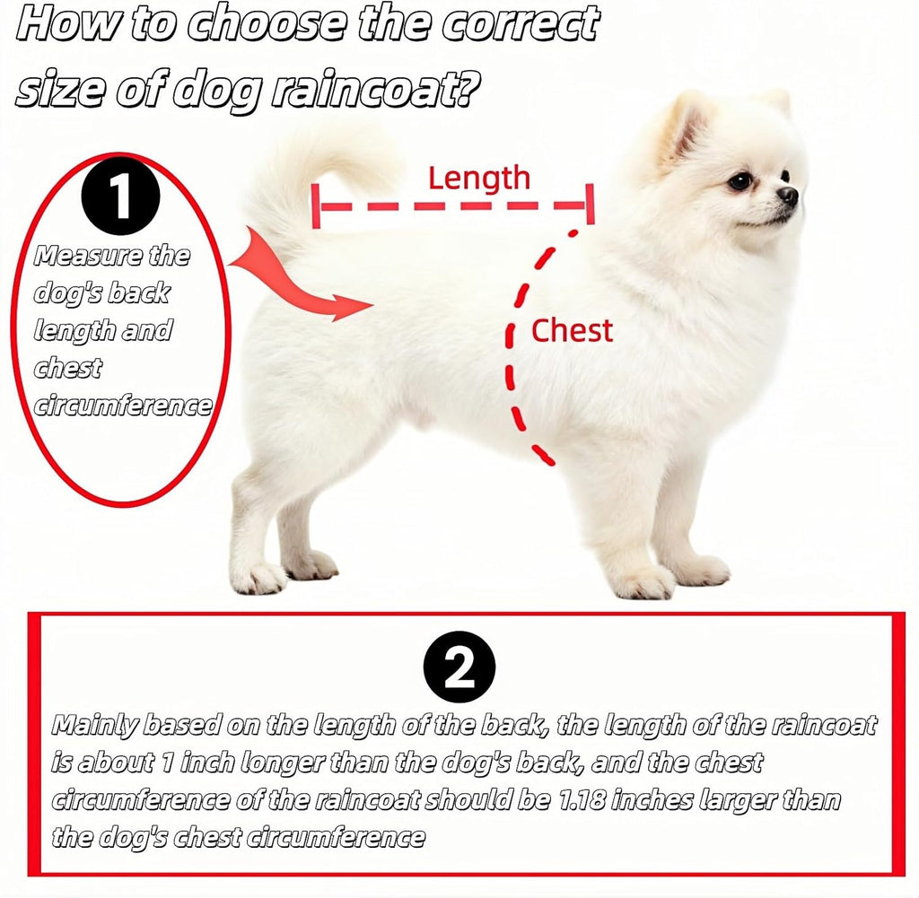 Bubble-Fly hooded pet cape worn by a small Bichon Poodle in rainy weather