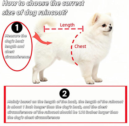 Bubble-Fly hooded pet cape worn by a small Bichon Poodle in rainy weather