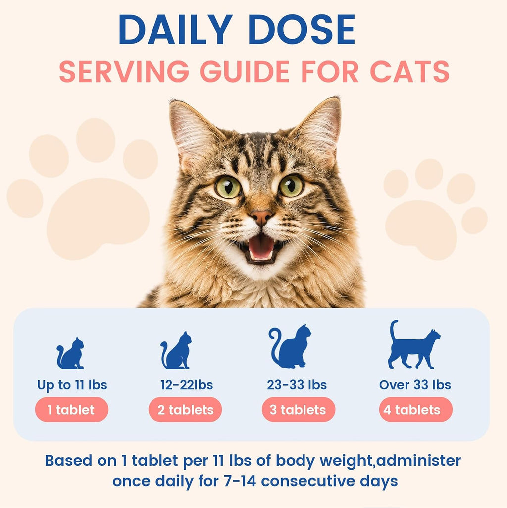 Homeopathic feline skin and coat health supplement for patchy fur remedy
