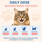 Homeopathic feline skin and coat health supplement for patchy fur remedy