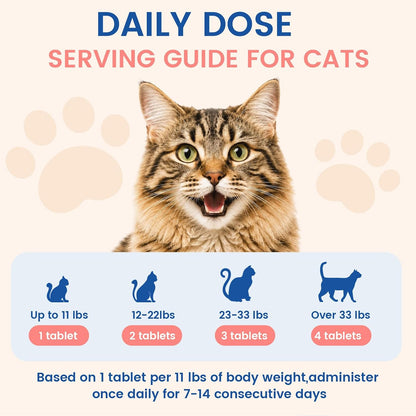 Homeopathic feline skin and coat health supplement for patchy fur remedy