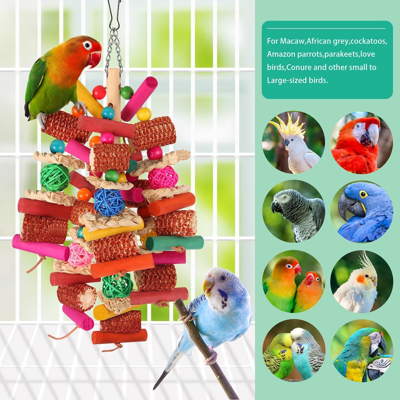 Close-up view of the secure stainless steel hook and adjustable chain on a parrot toy.