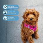 Pet walking in fuchsia step-in harness set