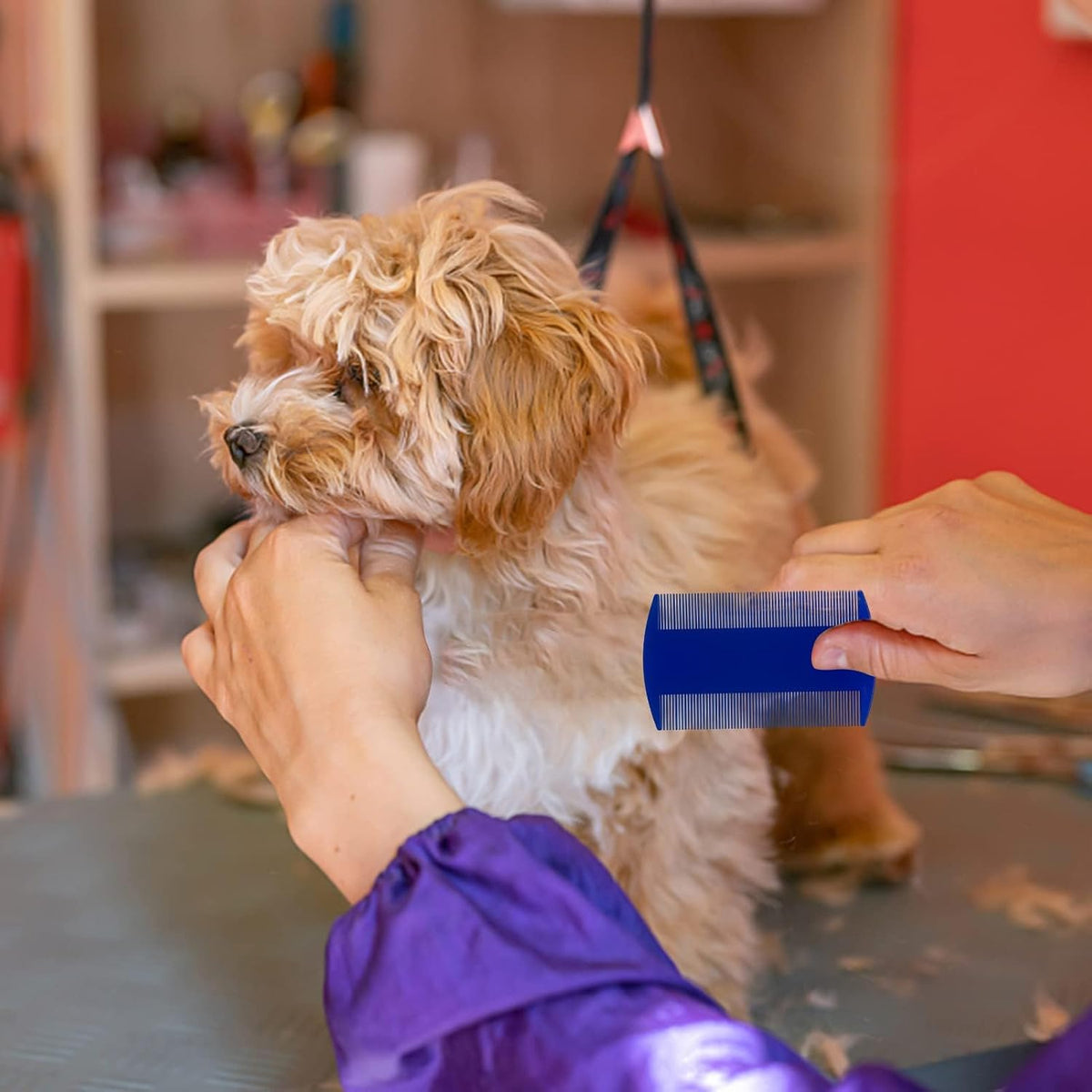 Professional grooming kit featuring MoHern flea combs
