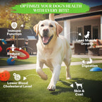 Healthy Dogma PetMix Lamb and Chicken raw dog food packaging