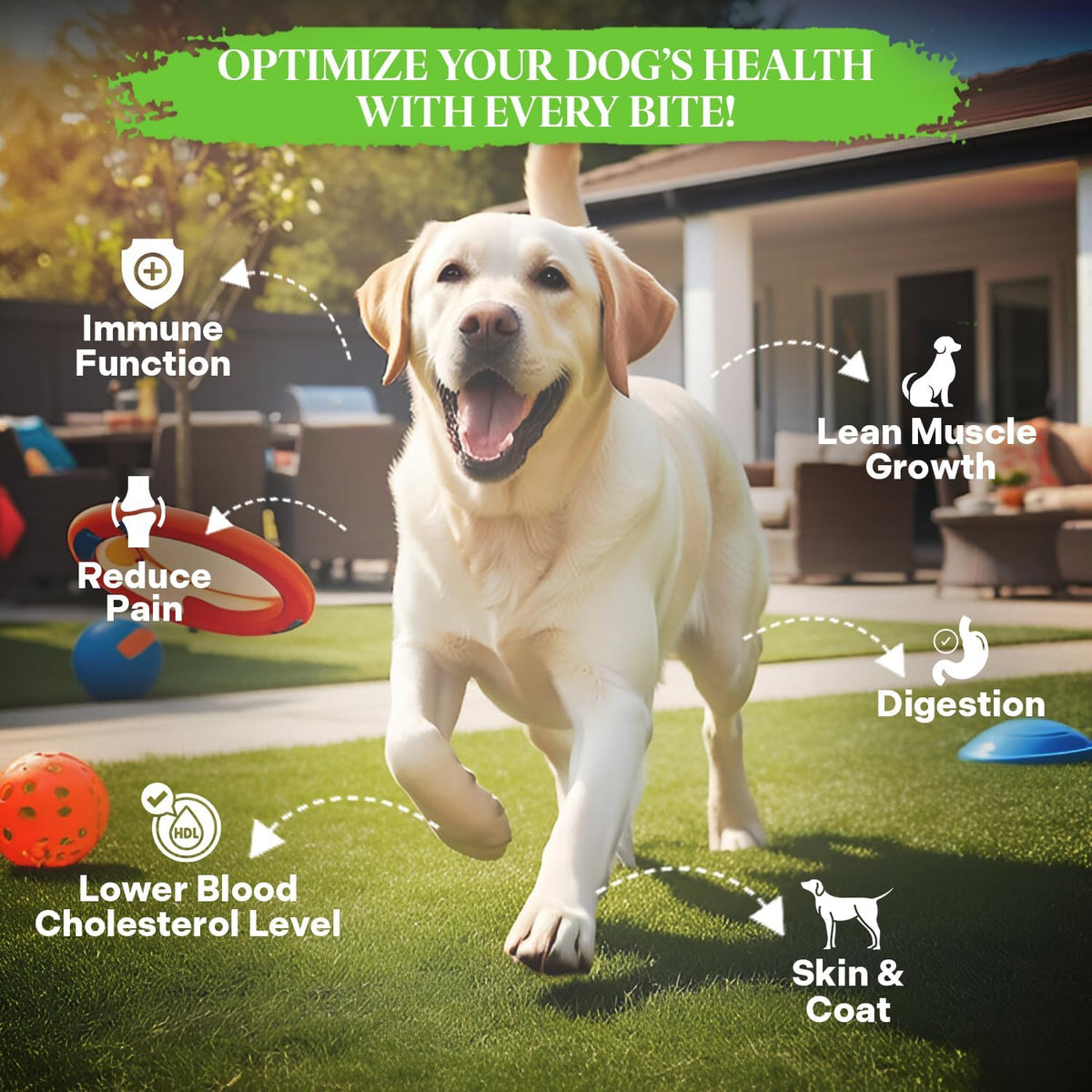 Healthy Dogma PetMix Lamb and Chicken raw dog food packaging