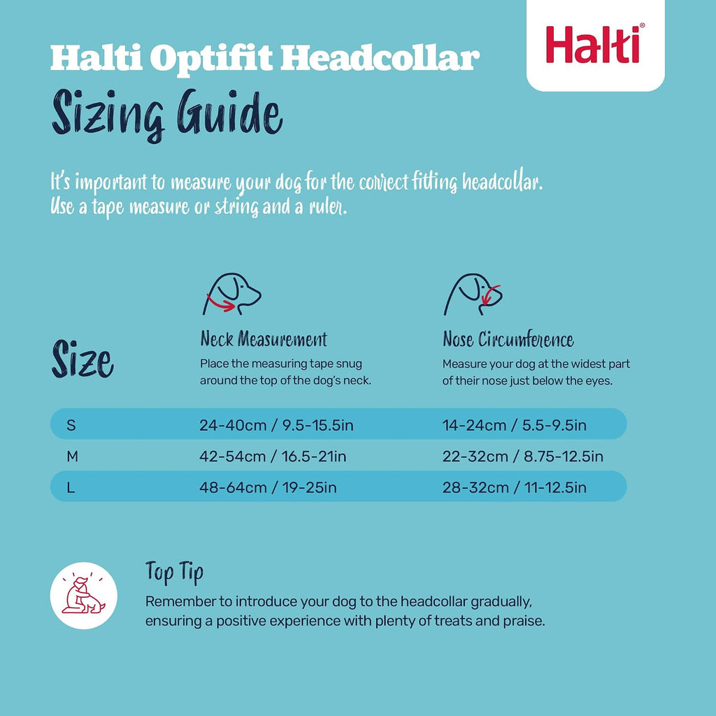 Halti Optifit Headcollar - Stop Your Dog Pulling on the Leash. Adjustable, Reflective and Lightweight, with Padded Nose Band. Dog Training Anti-Pull Collar for Medium Dogs (Size Medium) - Image 5