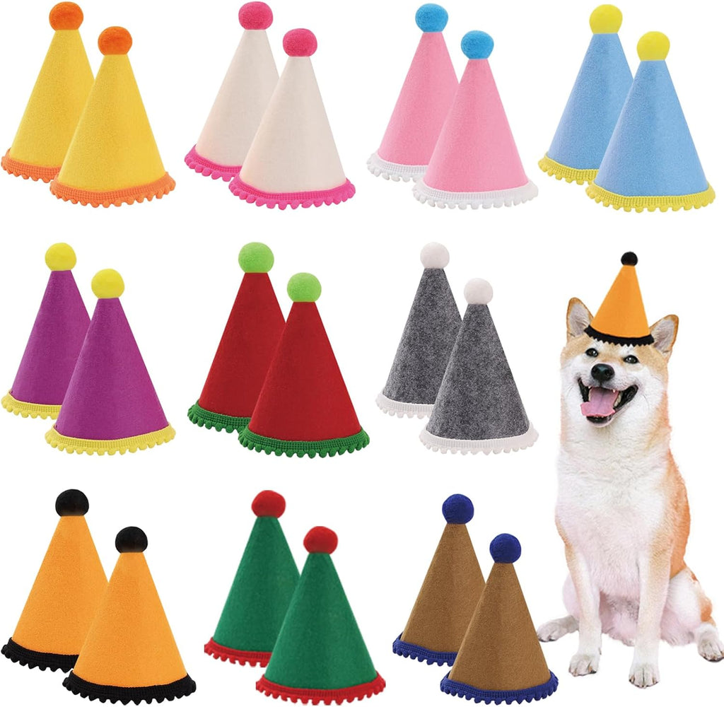Cat wearing a mini party hat for birthday celebration
