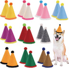 Cat wearing a mini party hat for birthday celebration