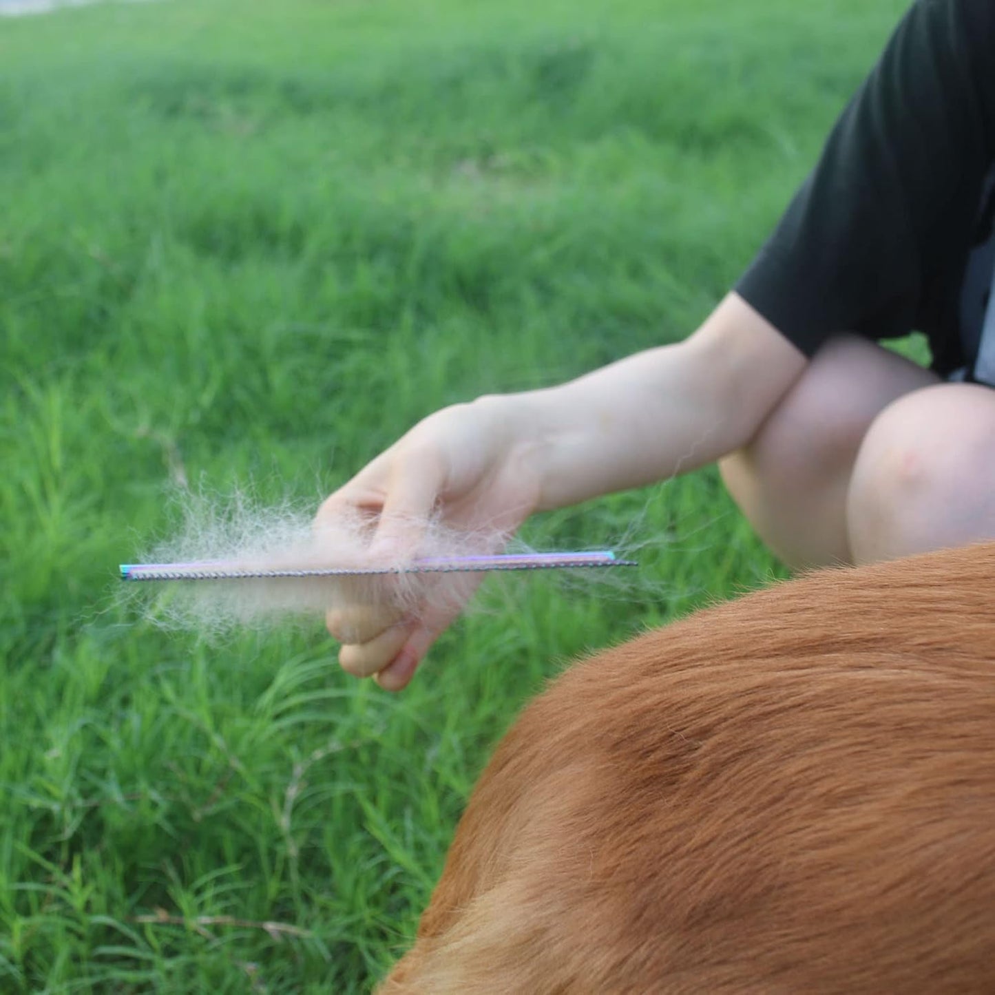 ROPO anti static pet dematting comb for short and long haired dogs in India