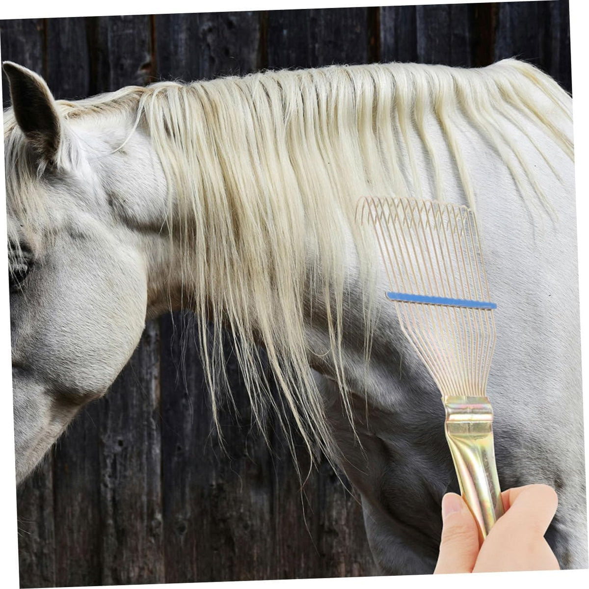 Heavy duty metal tine dandruff brush for sheep wool care.