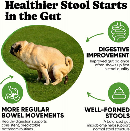 Dog probiotics for itchy skin and yeast infection relief