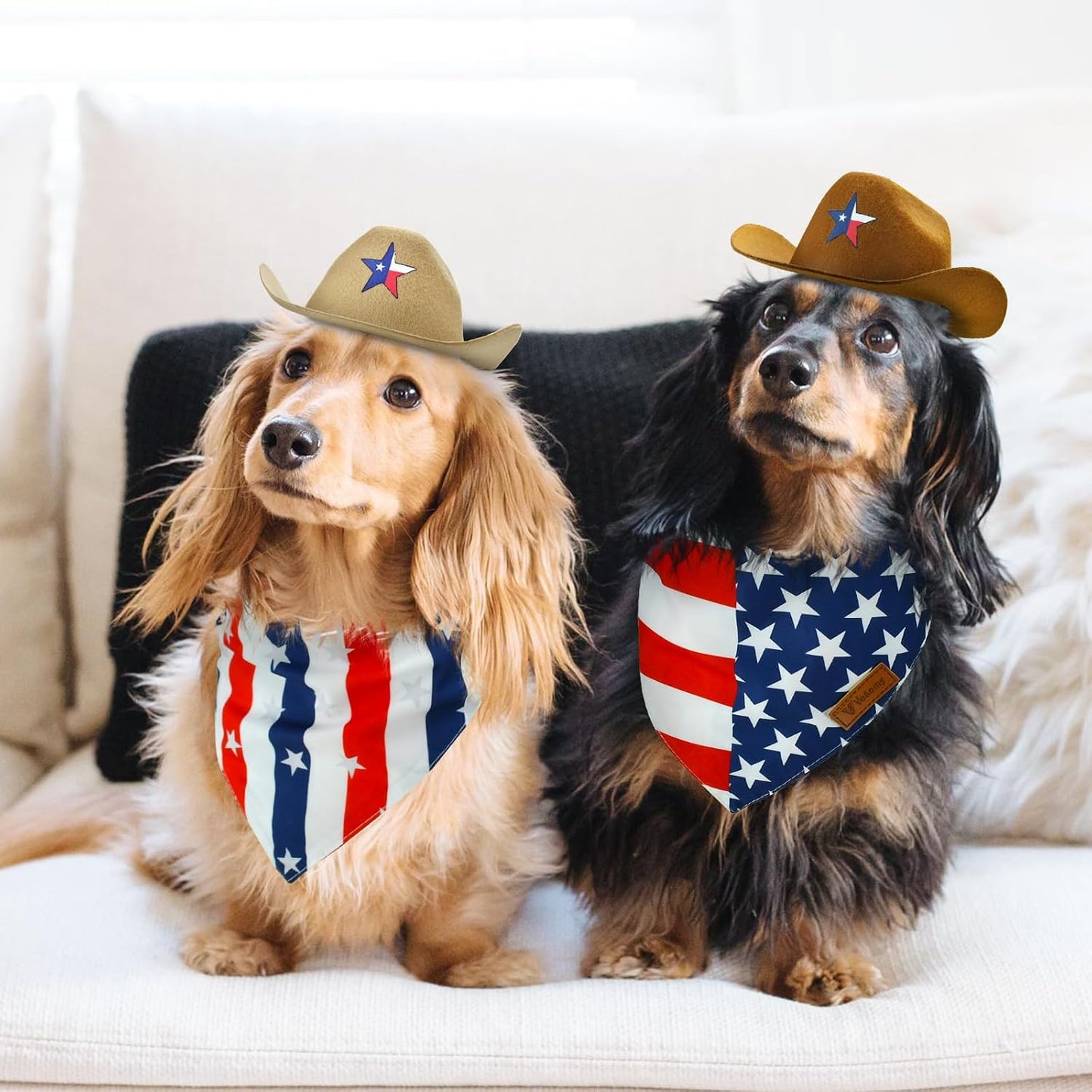 Cat and dog wearing 4th of July Independence Day accessories
