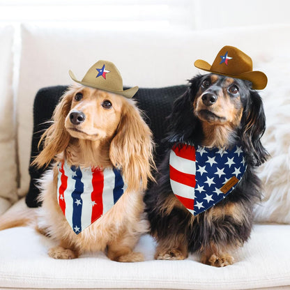 Cat and dog wearing 4th of July Independence Day accessories