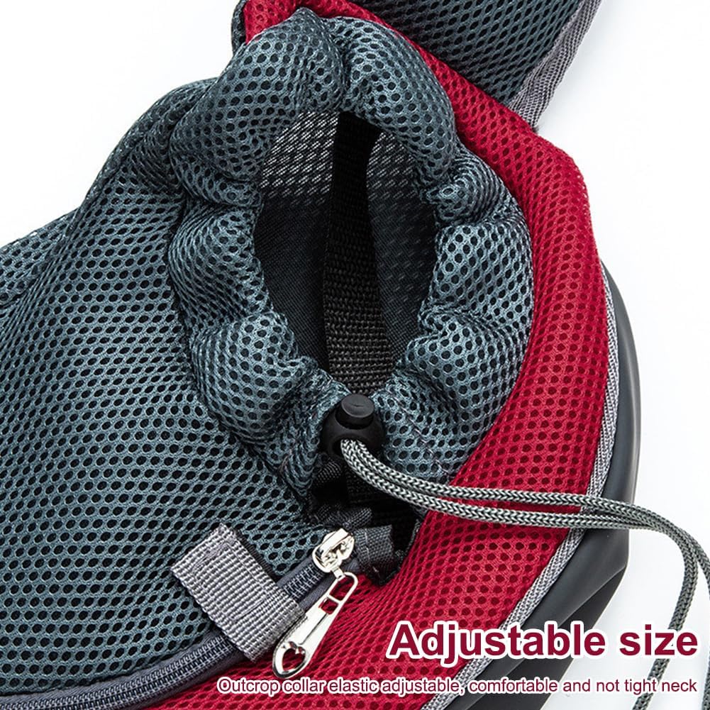 Interior safety hook for secure pet travel