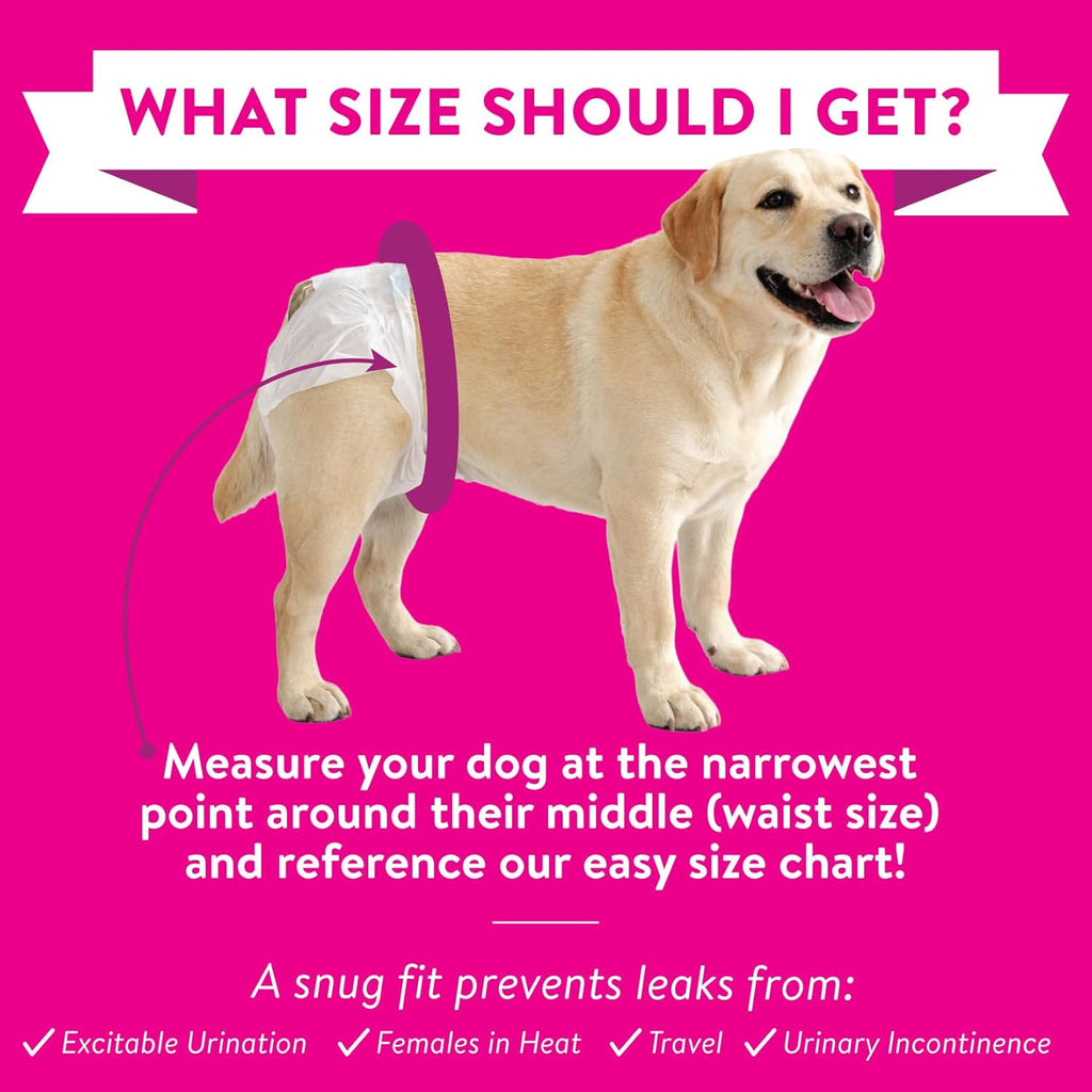 Leak proof pet diapers for large breeds including German Shepherds and Golden Retrievers