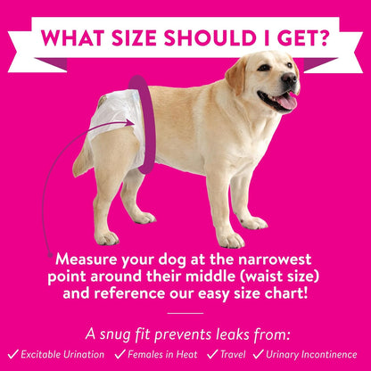 Leak proof pet diapers for large breeds including German Shepherds and Golden Retrievers