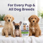 We Love Doodles tear free puppy shampoo eight fluid ounce bottle.