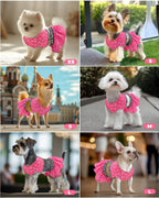 CuteBone cat apparel two piece sporty outfit side angle.