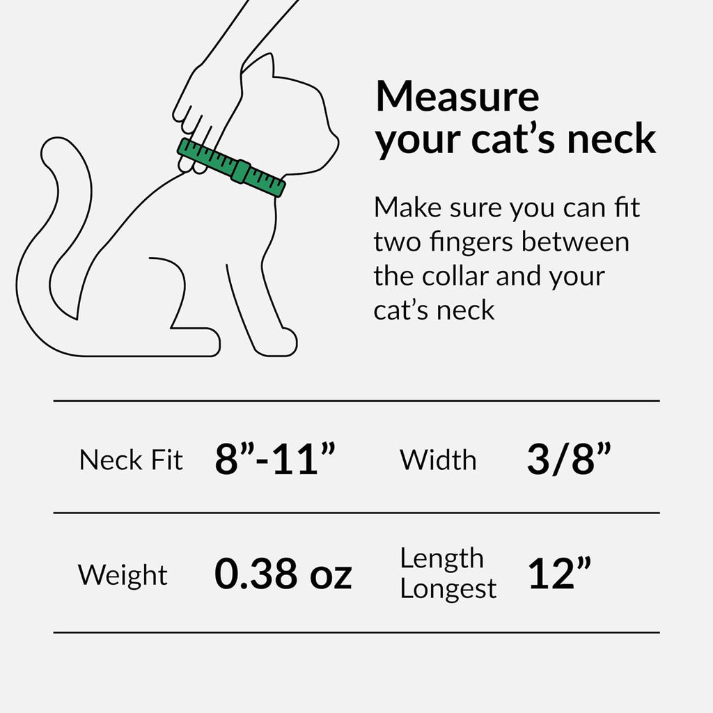 CollarDirect premium soft leather cat accessory displaying the sturdy buckle closure