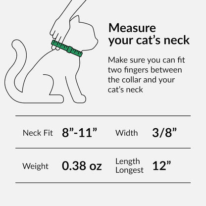 CollarDirect premium soft leather cat accessory displaying the sturdy buckle closure
