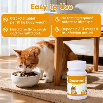 Feline digestive care tablet medicine bottle close up view