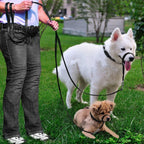 Barkless dog training head collar with included black nylon leash