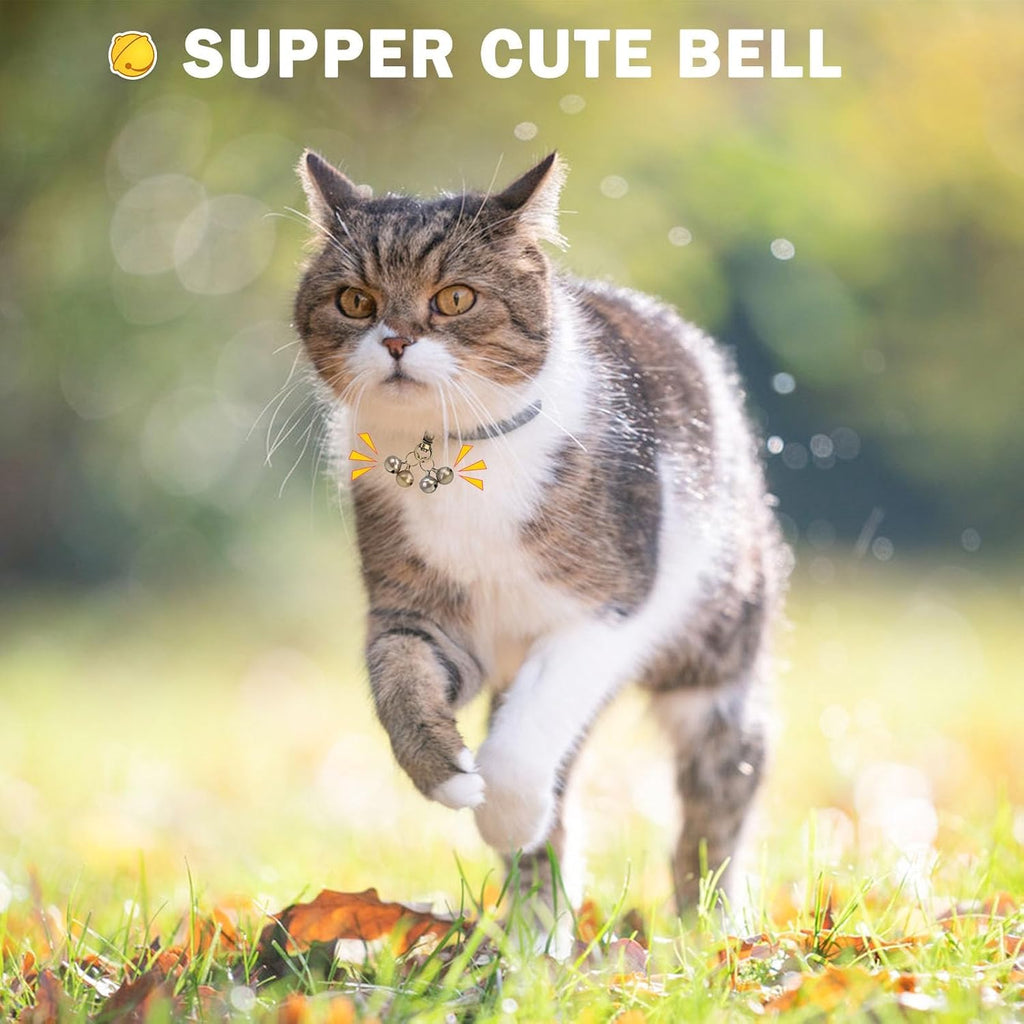 Lightweight pet collar charms for outdoor tracking and wildlife safety