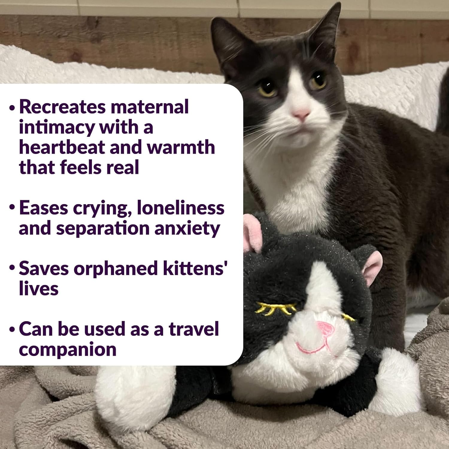 Authentic Snuggle Puppie kitten anxiety relief plush showing included heat pack