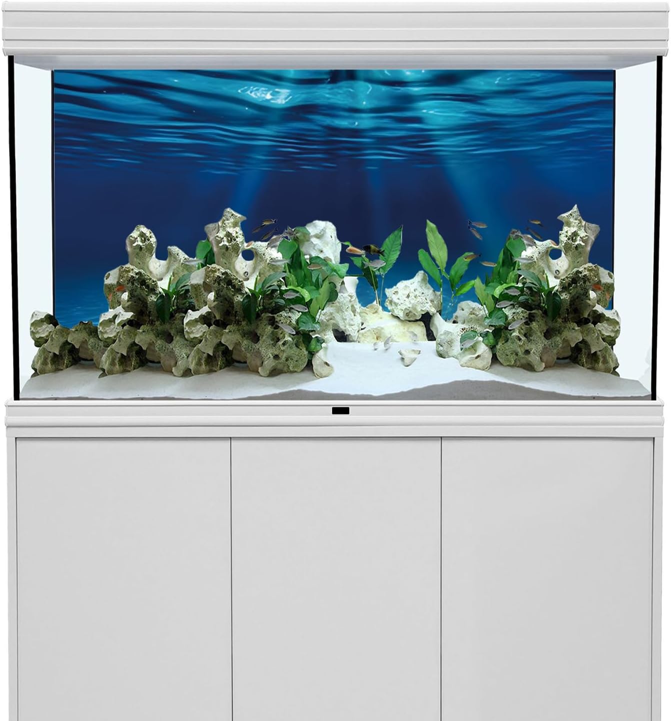 AWERT 120x60 cm fish tank background dimensions diagram for standard rectangular setups.