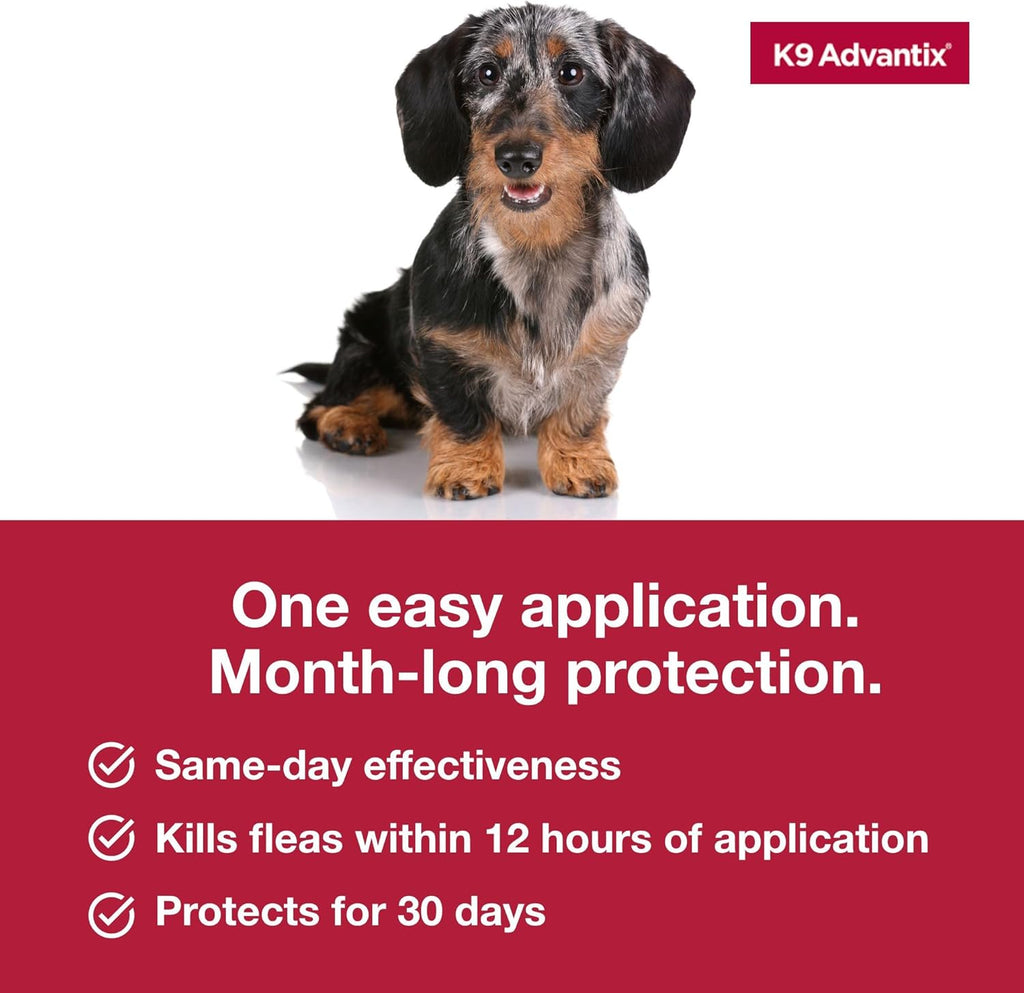 Authentic Elanco K9 Advantix flea control for miniature wirehaired dachshunds